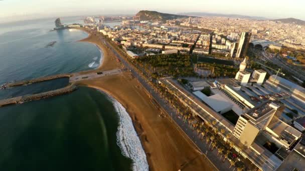 Aerial View Barcelona Architecture Buildings Streets Spain Video Uhd Prores — Stock Video