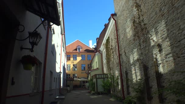 Das Alte Tallinn Architektur Alte Häuser Straßen Und Stadtviertel Video — Stockvideo