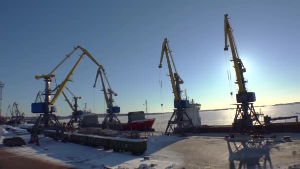 Vyborg带起重机的货运港口视频在4K Uhd — 图库视频影像