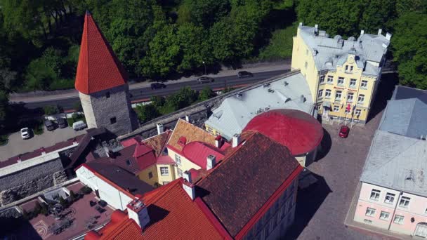 Vecchio Tallinn Vista Dall Alto Tetti Case Estonia Video Uhd — Video Stock