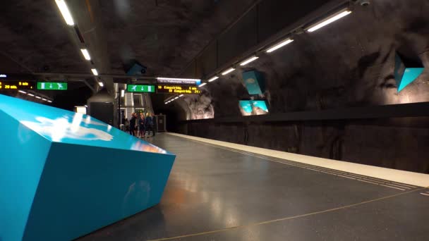 Solna Ipliği Metro Istasyonu Metroda Sanat Eserleri Stockholm Sveç Video — Stok video