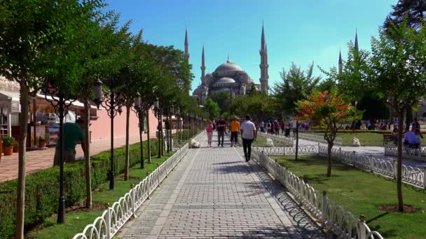 Istanbul Turquía Verano 2017 Mezquita Azul Mezquita Sultan Ahmed Estambul — Vídeo de stock