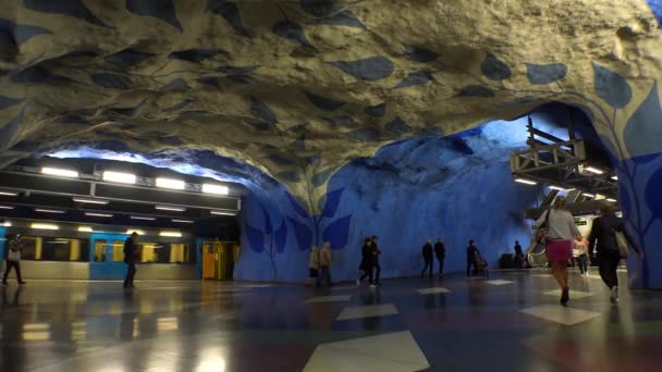 Centralen Stasiun Metro Seni Kereta Bawah Tanah Stockholm Swedia Video — Stok Video