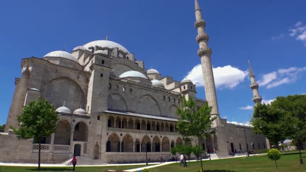 Τζαμί Suleymaniye Στην Κωνσταντινούπολη Τουρκία Βίντεο Uhd — Αρχείο Βίντεο