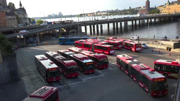 Die Busflotte Stockholm Schweden Video Uhd — Stockvideo
