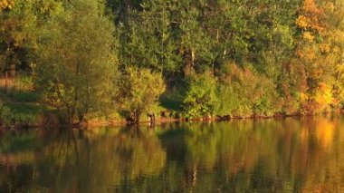 Sonbahar manzara orman ve göl ile