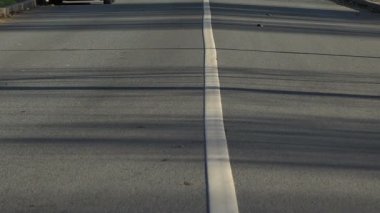 St. Petersburg devlet