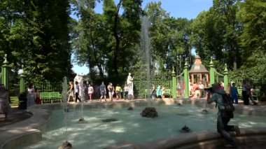 Yaz bahçesinde Pople yürüyüş