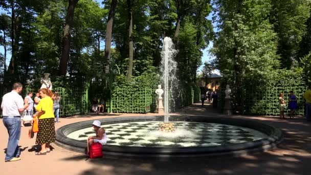 Promenade de Pople dans le jardin d'été — Video