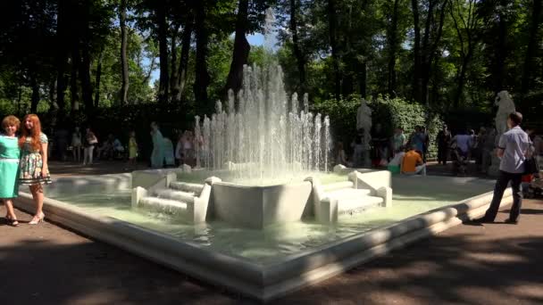 Menschen gehen im Sommergarten spazieren — Stockvideo