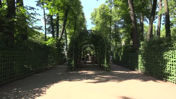 Menschen gehen im Sommergarten spazieren — Stockvideo