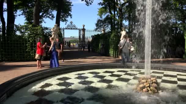Promenade de Pople dans le jardin d'été — Video