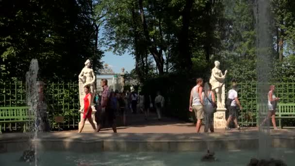 Menschen gehen im Sommergarten spazieren — Stockvideo