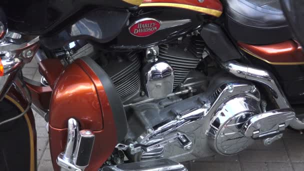 Mesin Harley Davidson bike.4K. St. Petersburg, musim panas 2014 . — Stok Video