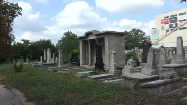 Разрушили могилы на еврейском кладбище — стоковое видео