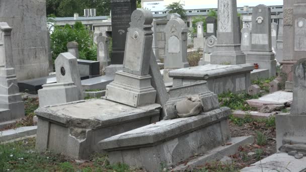 Gräber auf jüdischem Friedhof zerstört — Stockvideo