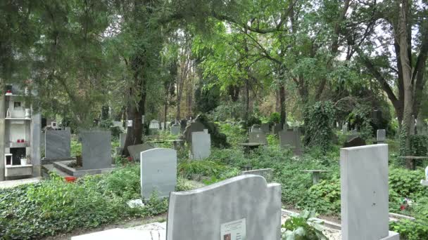 Alter friedhof in varna — Stockvideo