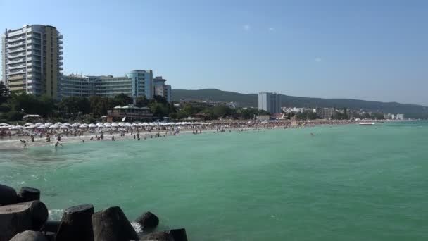 Strand mit goldenem Sand — Stockvideo