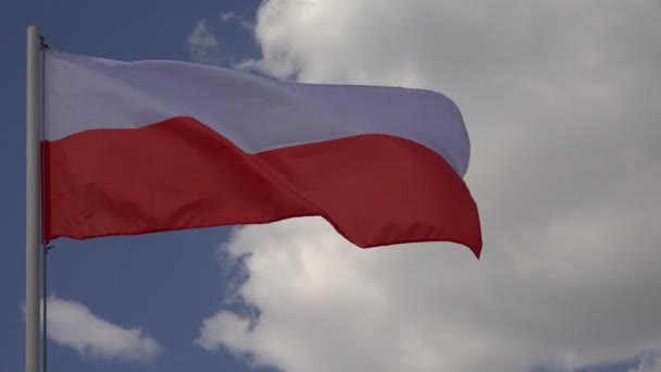 Bandera de Polonia. 4K . — Vídeo de stock