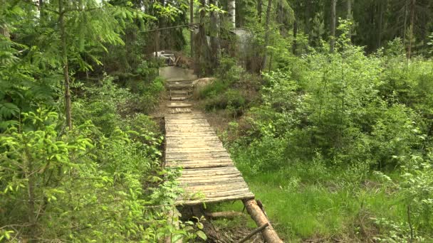 Деревянный мост в лесу — стоковое видео