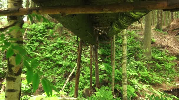 Міст через скелю в лісі — стокове відео