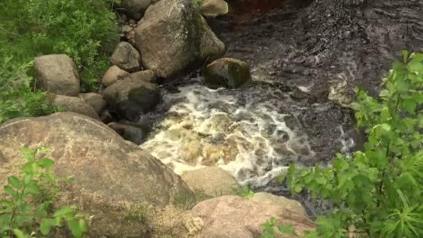Дикі річкові камені — стокове відео