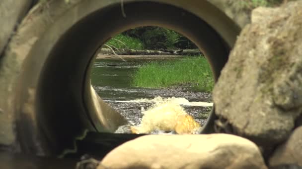 Bir boru aracılığıyla nehir akar — Stok video