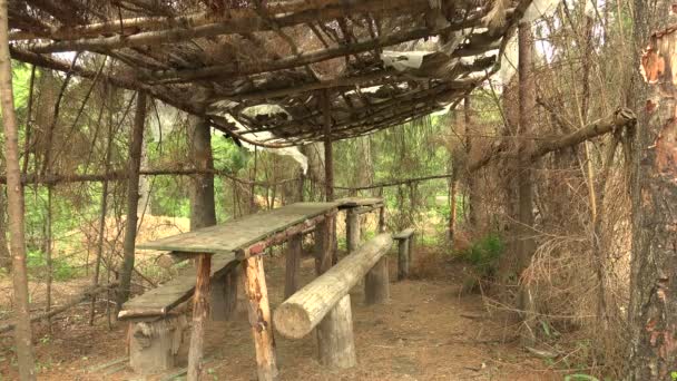 Militaire aarde-huis en hut in het bos — Stockvideo