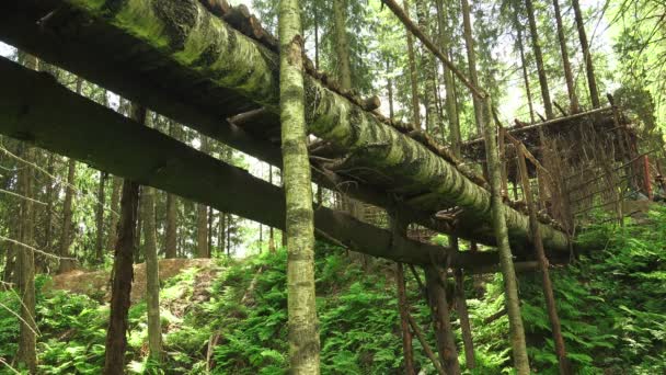 Wooden bridge over the cliff in the forest. 4K. — Stock Video