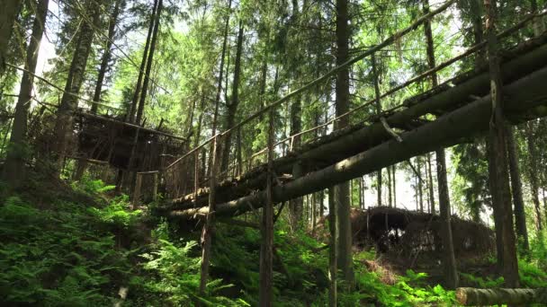 Puente sobre el acantilado en el bosque — Vídeo de stock