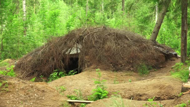 Военные земляные дома и хижины в лесу — стоковое видео