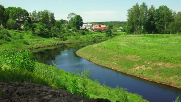 De rivier in het groene veld — Stockvideo