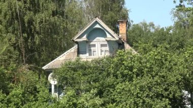 Çalılıkları Rusça ahşap evde. 4k.