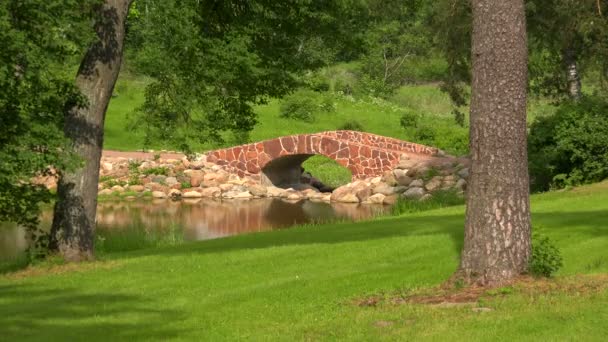 Il ponte di pietra sul fiume — Video Stock