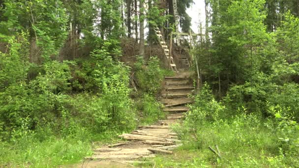 Military observation tower for in the forest — Stock Video