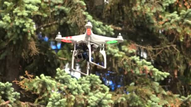 Multirotor, caméscope, hélicoptère. 4K .