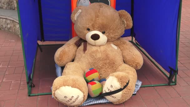 Urso Big Teddy. 4K . — Vídeo de Stock