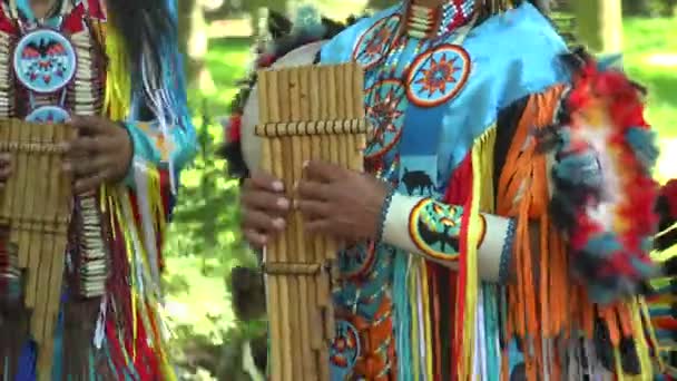 Індійська вуличних музикантів — стокове відео