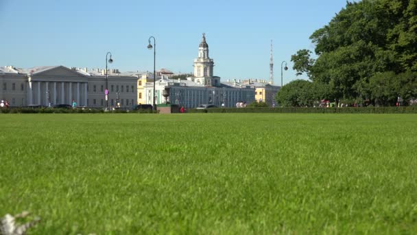 Kunstkamera. Antropoloji ve St Petersburg Etnografya Müzesi. 4k. — Stok video