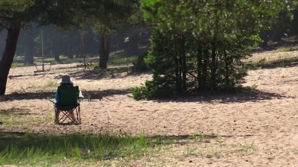 Mujer descansando en el borde del bosque — Vídeos de Stock