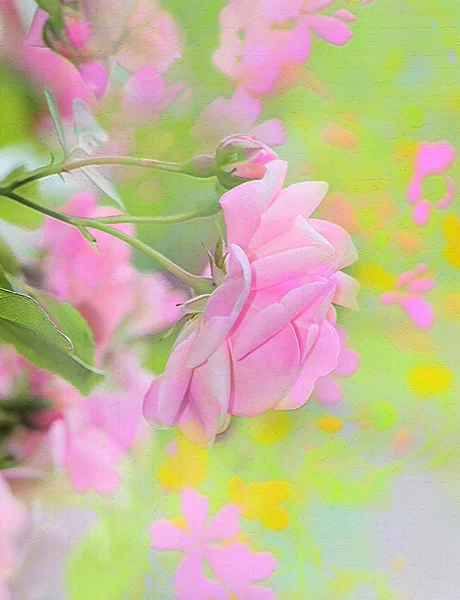 Fondo de flores con estructura — Foto de Stock