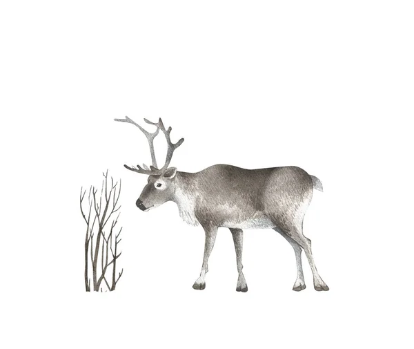 Suluboya Resimli Ağaç Ile Hayvan Ren Geyiği Beyaz Arka Planda — Stok fotoğraf