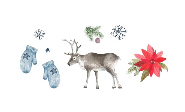 トナカイや新年の装飾が施された水彩画のセット雪の結晶クリスマスツリーと冬の赤いポインセチアの花をミトン — ストック写真