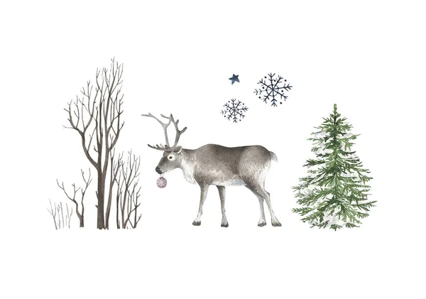 Set Watercolor Illustrations Nature Trees Animal Reindeer Hand Painted White — Stock Photo, Image