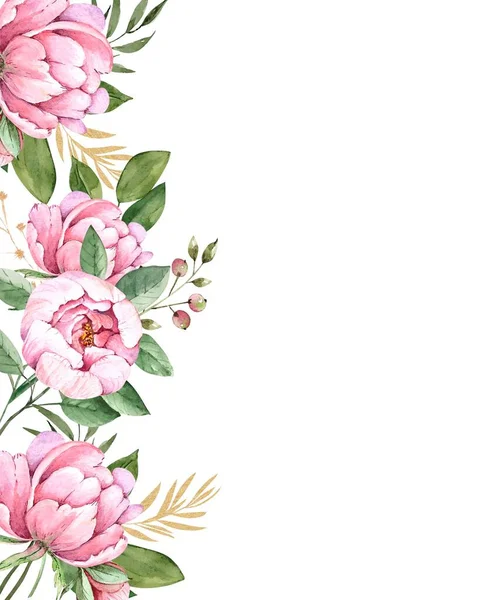 Ornamento Borda Flores Rosa Delicadas Peônias Ilustração Aquarela Fundo Branco — Fotografia de Stock