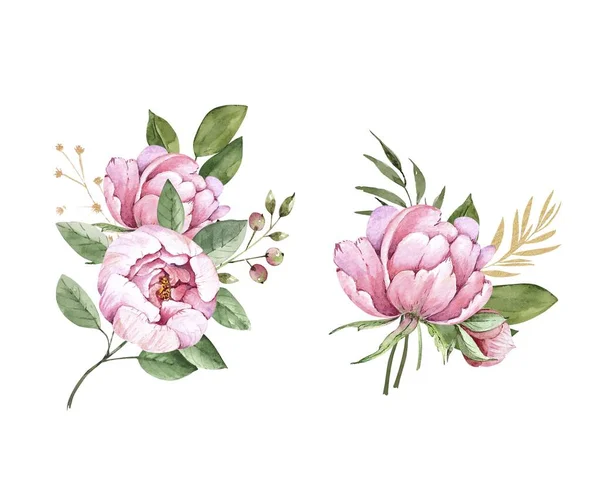 Delicados Buquês Com Flores Peônias Rosa Aquarela Ilustração Fundo Branco — Fotografia de Stock