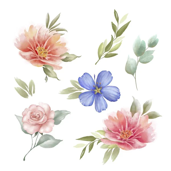 Conjunto Flores Delicadas Folhas Ilustração Sobre Fundo Branco Pintados Mão — Fotografia de Stock