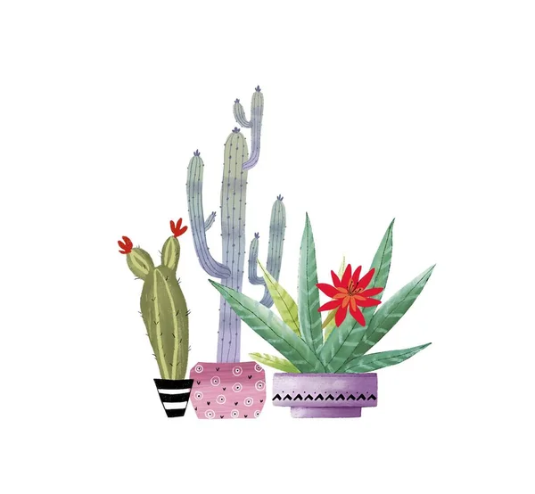 Set Von Niedlichen Illustrationen Von Kakteen Töpfen Heimpflanzen Digitale Illustration — Stockfoto