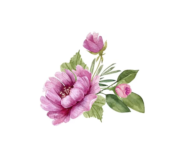 Λεπτή Μπουκέτο Λουλούδια Ροζ Παιώνιες Ακουαρέλα Εικονογράφηση Λευκό Φόντο Ζωγραφισμένο — Φωτογραφία Αρχείου