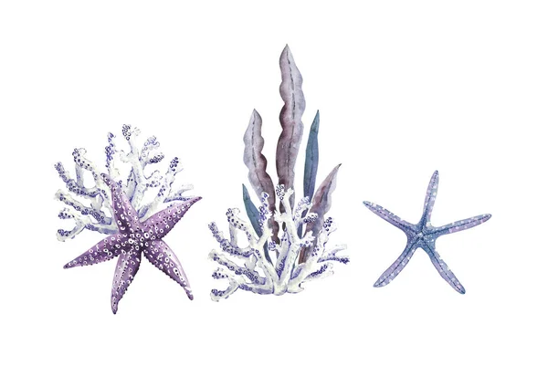 Set Von Aquarell Illustrationen Maritimen Stil Auf Weißem Hintergrund Mit — Stockfoto
